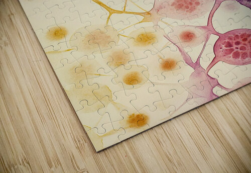 Cellular Echoes Y59H2N 55 Abstract Rebellion puzzle