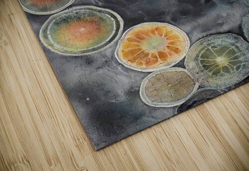 Cellular Echoes KH295B 55 Abstract Rebellion puzzle