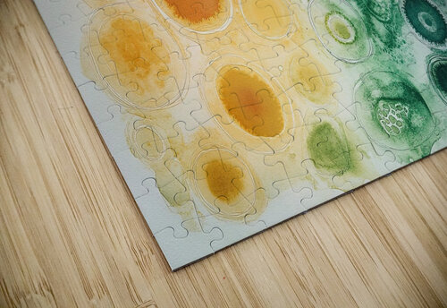 Cellular Harmony Y59H2N 48 Abstract Rebellion puzzle