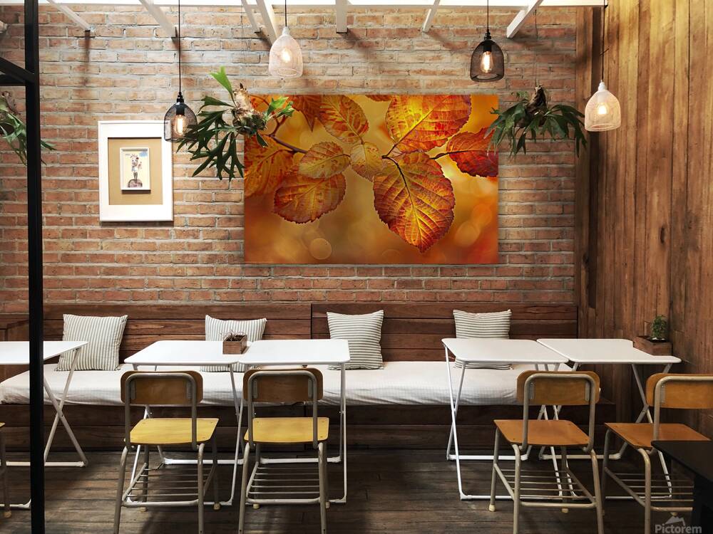 Autumn Leaves Glowing Y59H7N 45 Reproduction