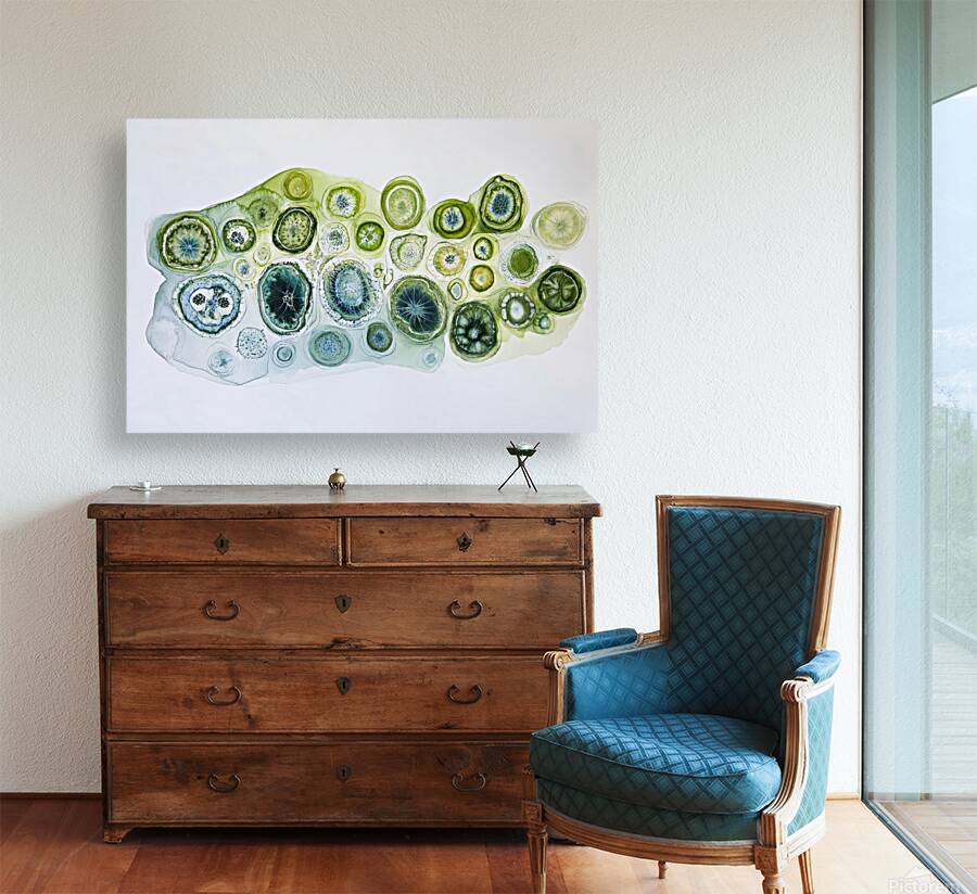 Cellular Echoes ZH92N5 47 Reproduction