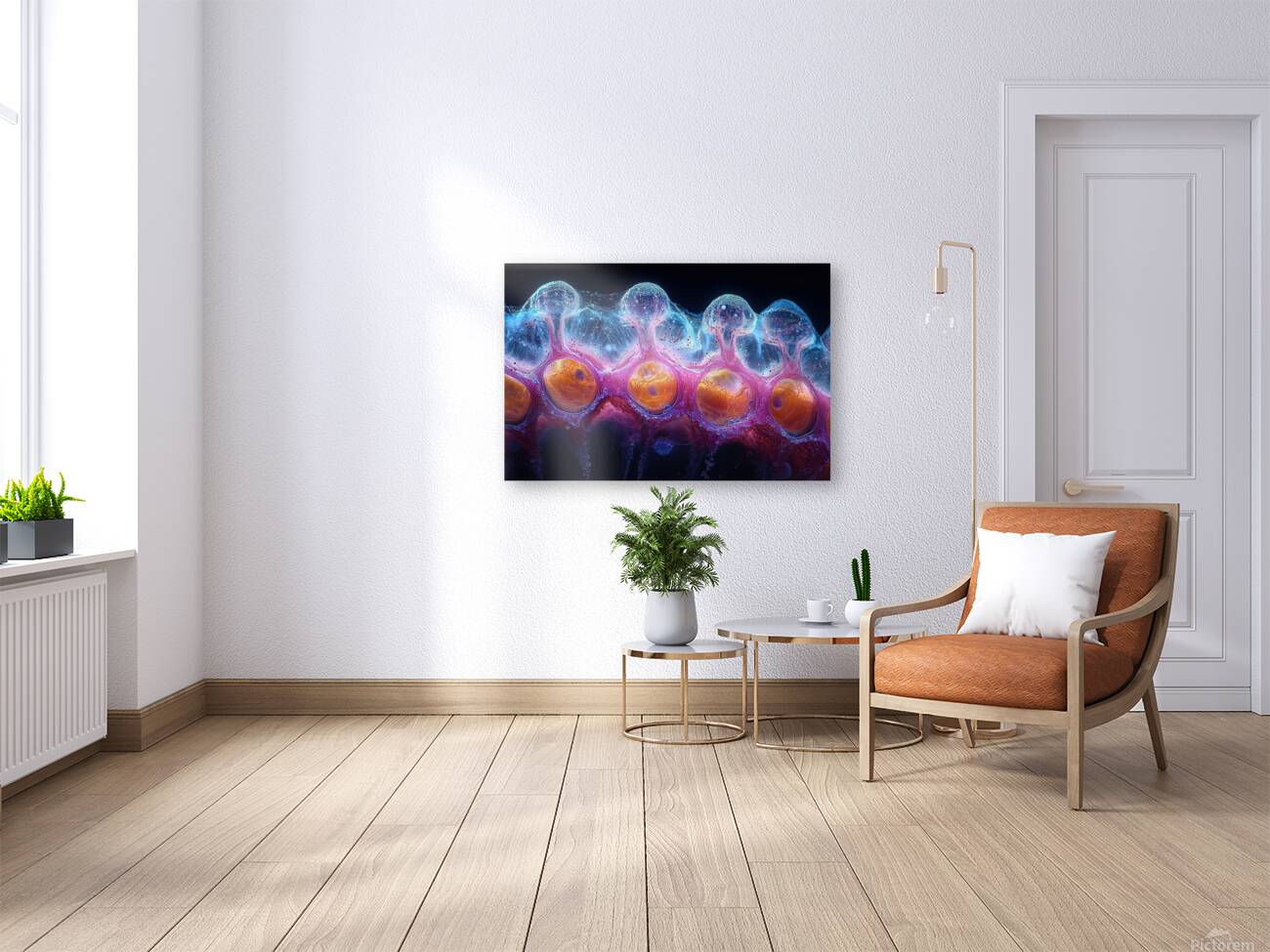 Cellular Harmony N92H5P 71 Reproduction