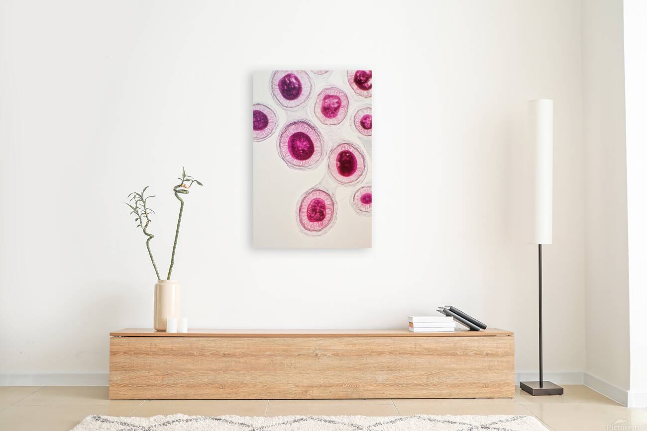 Cellular Harmony 249CPZ 47 Reproduction