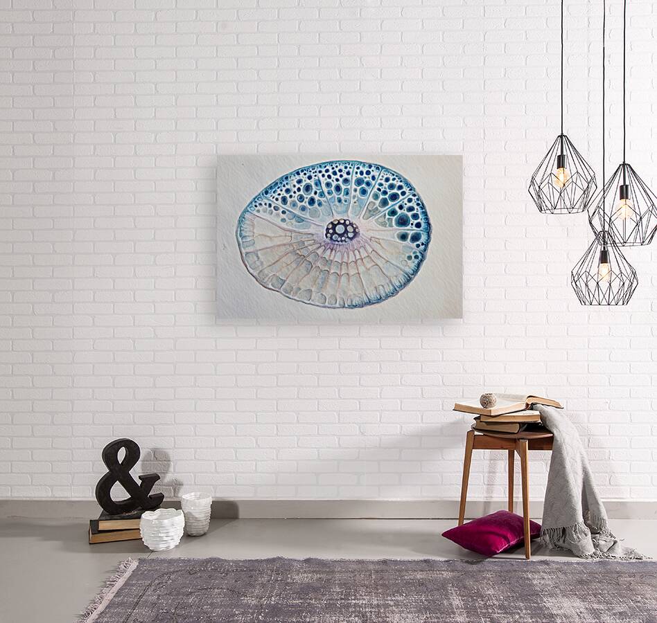 Cellular Echoes H9P4N2 50 Reproduction