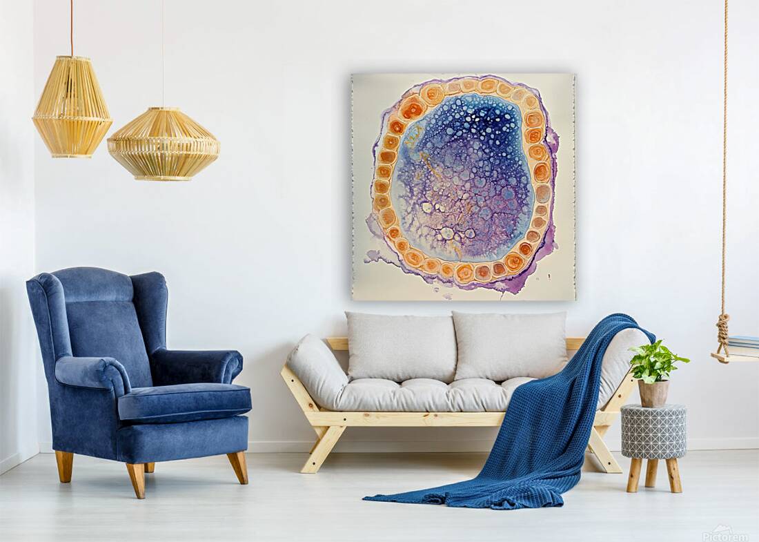 Cellular Harmony H9P4N2 48 Reproduction