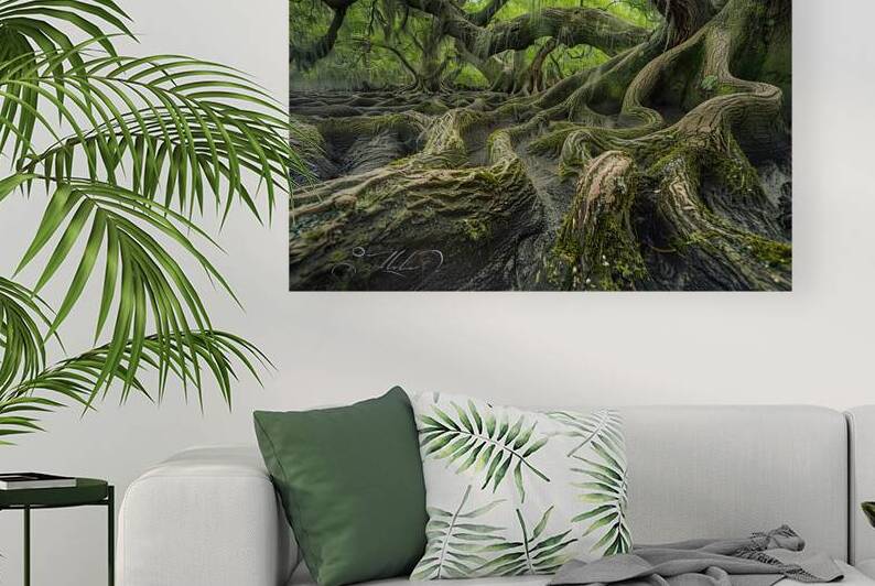 Angel Oak Sanctuary Z92HNP 47 by Abstract Rebellion