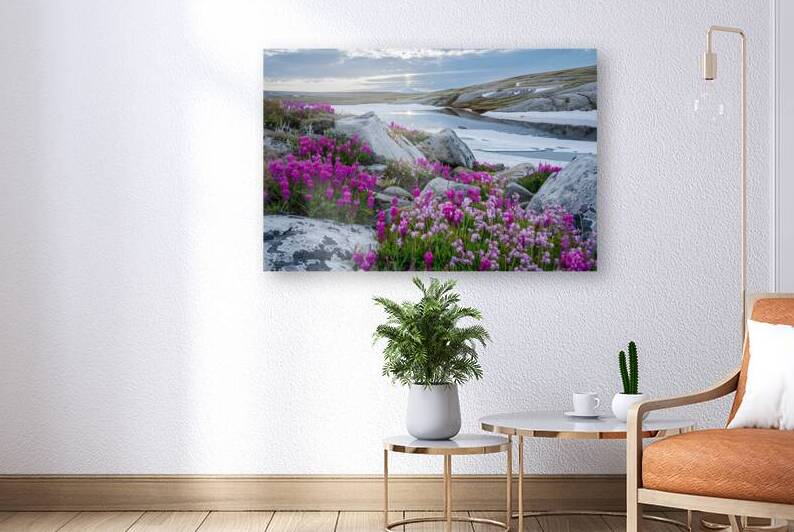 Arctic Bloom Serenade Y92N5H 45 by Abstract Rebellion