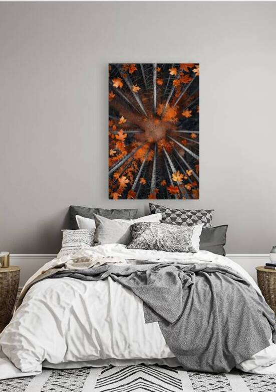 Autumn Forest Ascent Y92H5N 58 by Abstract Rebellion