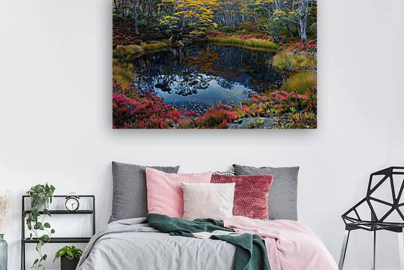 Autumn Reflections NZ 9P3N4H 45 by Abstract Rebellion