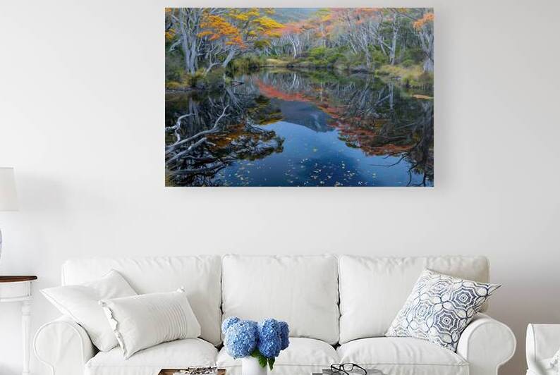 Autumn Reflections NZ 78HNP3 69 by Abstract Rebellion