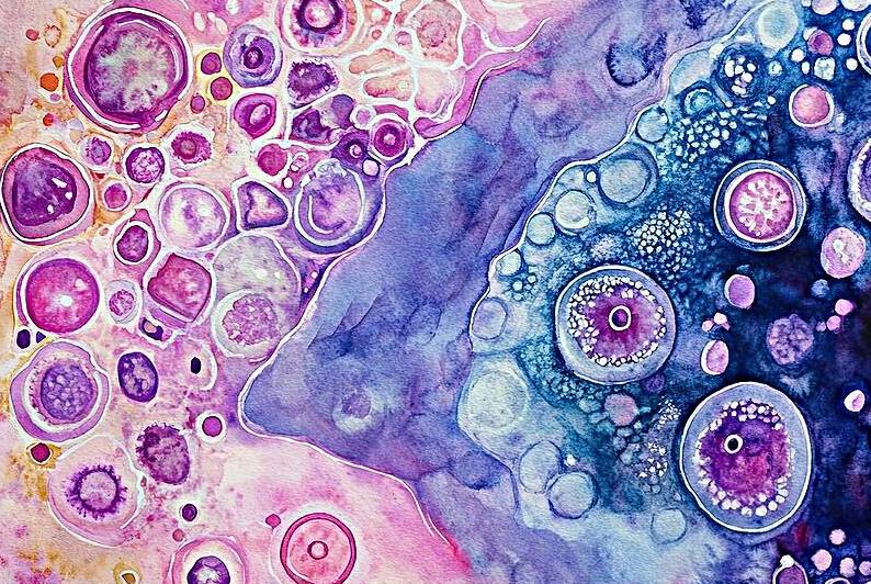 Cellular Dreams 79HBC2 58 by Abstract Rebellion