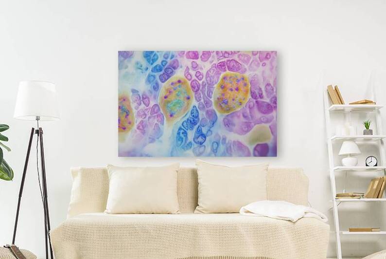 Cellular Constellations 7H3N2B 60 by Abstract Rebellion