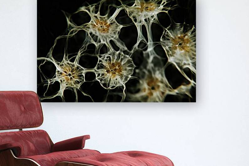 Cellular Lace 92HJ5B 65 by Abstract Rebellion