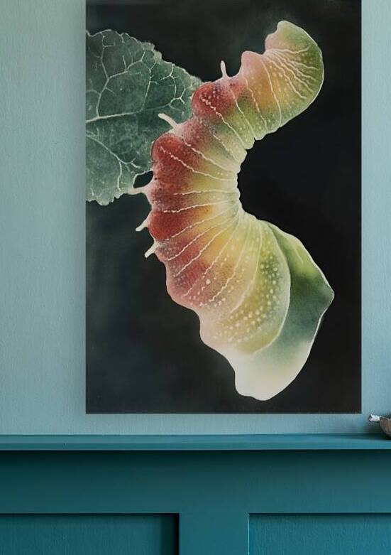 Chromatic Metamorphosis JH92N3 62 by Abstract Rebellion