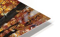 Golden Pathway HD Metal print