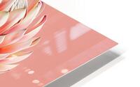 Blossom Radiance HD Metal print