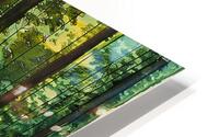 Forest Reverie HD Metal print