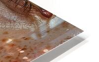 Hyperreal Gaze HD Metal print