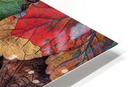Autumn Leaves Symphony 2P3H9N 55 HD Metal print