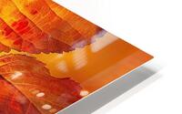 Autumn Leaves Glowing Y59H7N 45 HD Metal print