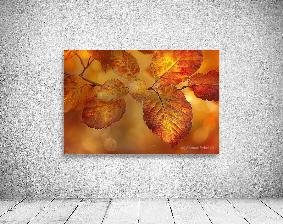 Autumn Leaves Glowing Y59H7N 45 Wall Preview