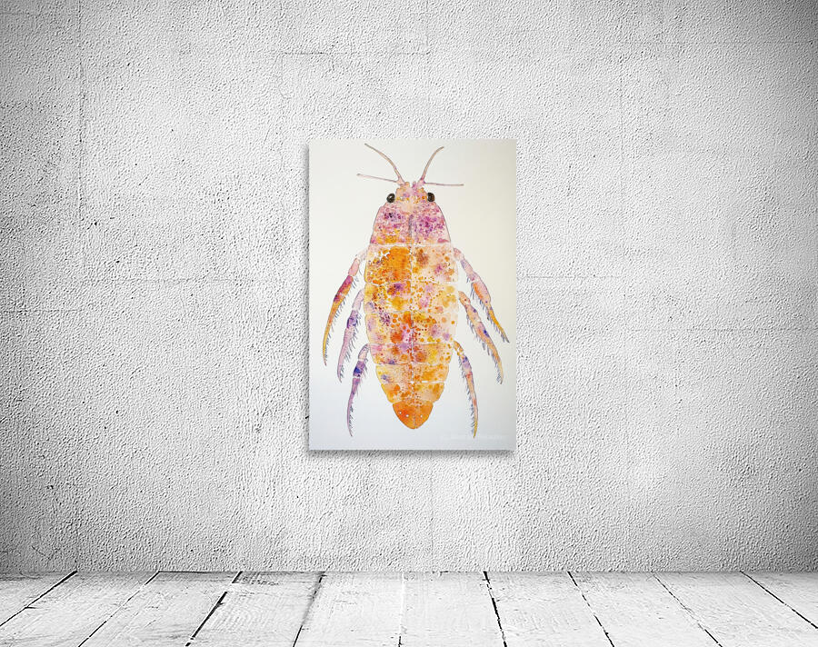 Chromatic Crustacean JH92N3 45 Wall Preview