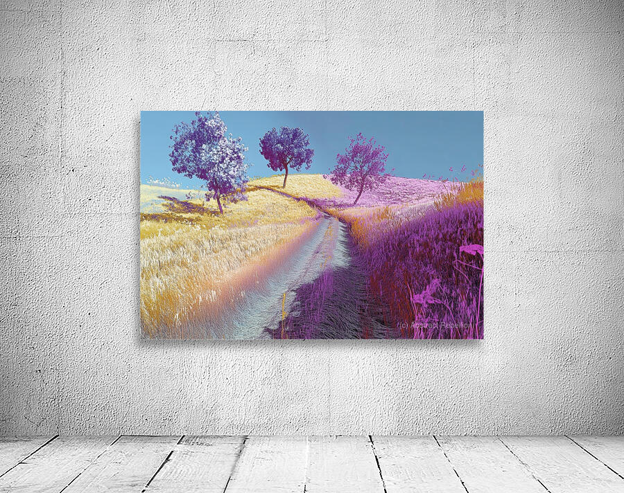 Chromatic Pathways 2H9N3Z 62 Wall Preview