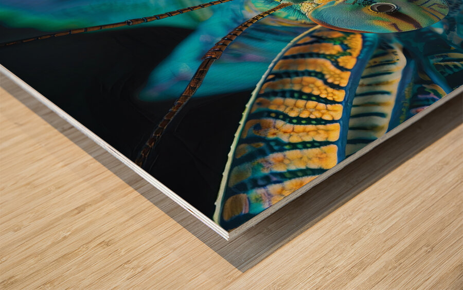 Insect Metamorphosis Wood print