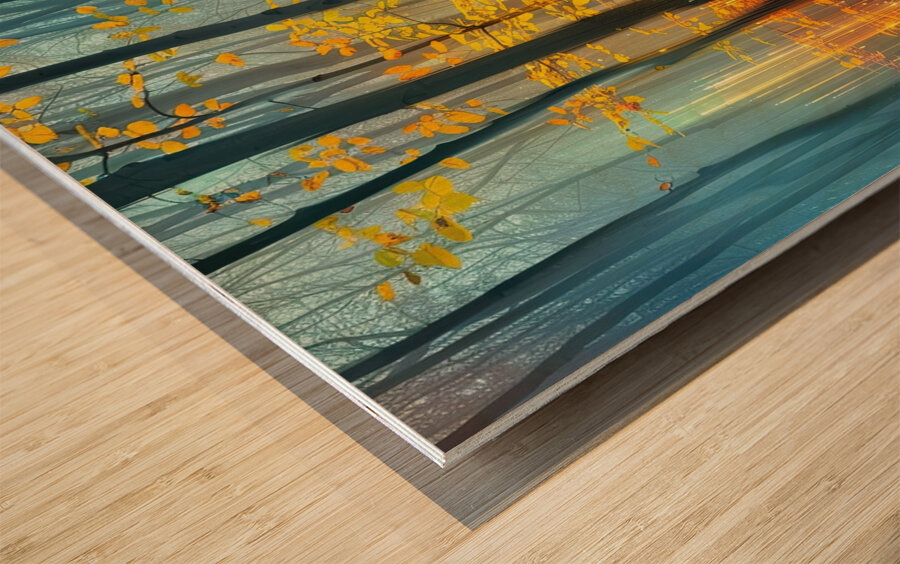 Autumn Light Forest ZX987N 60 Wood print