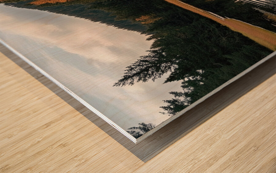 Autumn Ripples NZ8D2P 64 Wood print