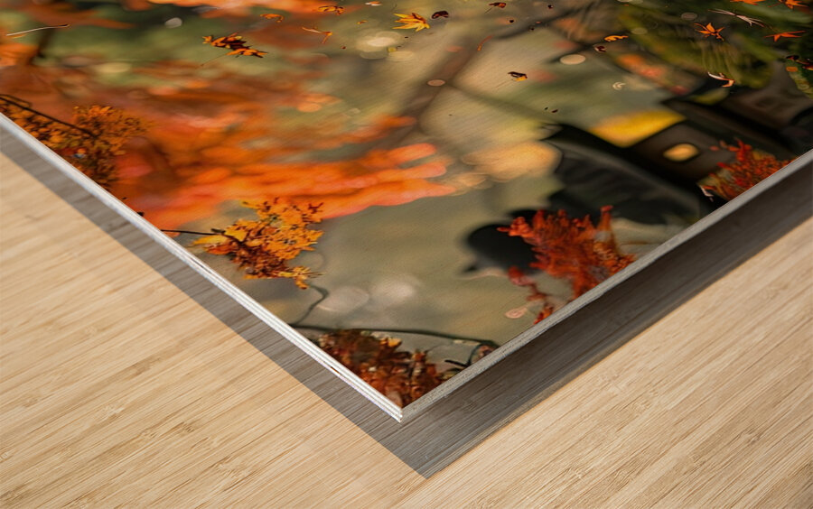 Autumn Whispers J79B2H 45 Wood print