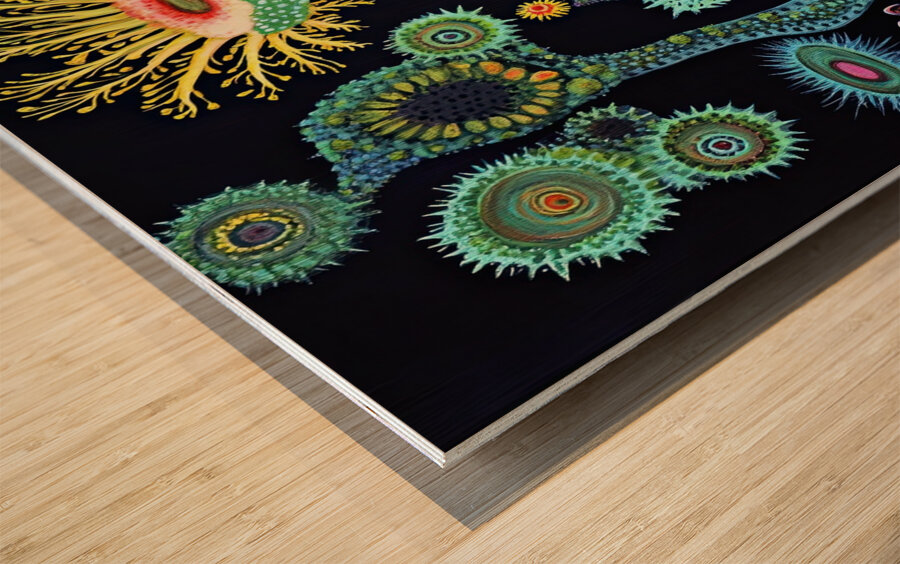 Bioluminescent Flora Y29H7N 55   Copy Wood print