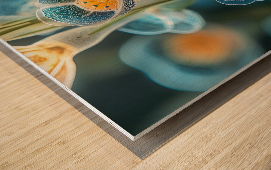 Bioluminescent Flora 2Y9H7N 62 Wood print