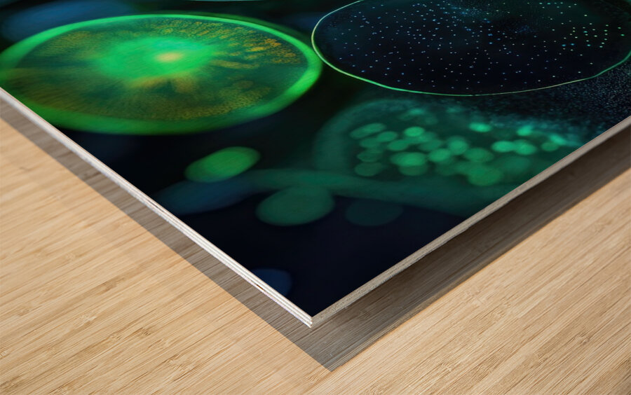 Bioluminescent Forms 7P3H9N 55   Copy Wood print