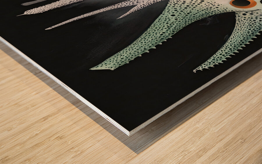 Bioscape Genesis H9P4N2 60 Wood print