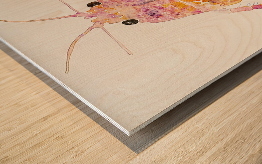 Chromatic Crustacean JH92N3 45 Wood print