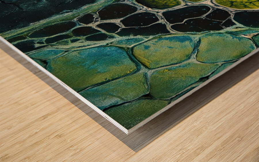 Cellular Genesis H9P2N8 60 Wood print