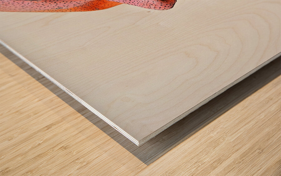 Celestial Visage H3N9P2 60 Wood print