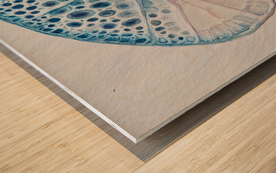 Cellular Echoes H9P4N2 50 Wood print