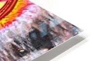 Junkanoo HD Metal print
