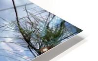 Shore HD Metal print