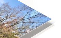 Walk to remember HD Metal print