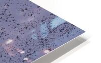abs-ray HD Metal print