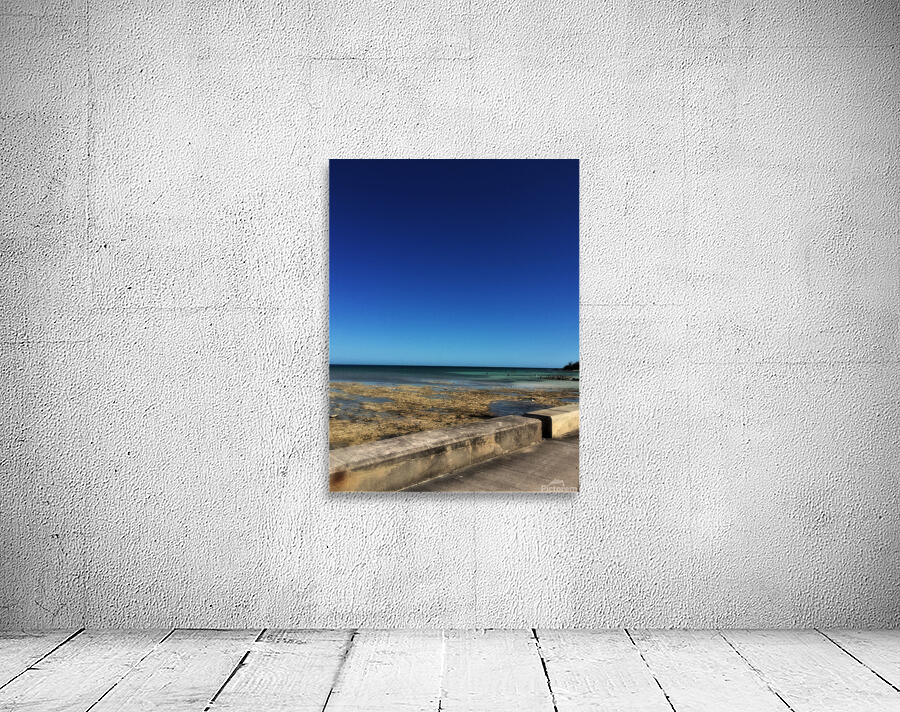 Yamacraw Beach Wall Preview