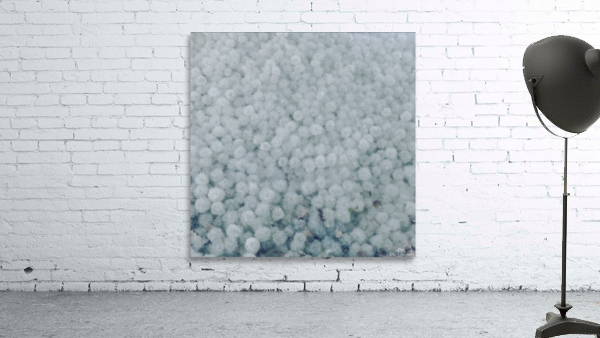 Cotton Bed  Wall Preview