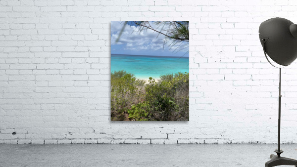 Shore Wall Preview