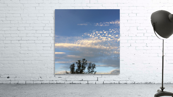 sky Wall Preview