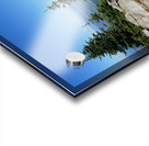 Washington Acrylic print