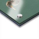 Mirror Acrylic print