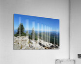 Washington Acrylic Print